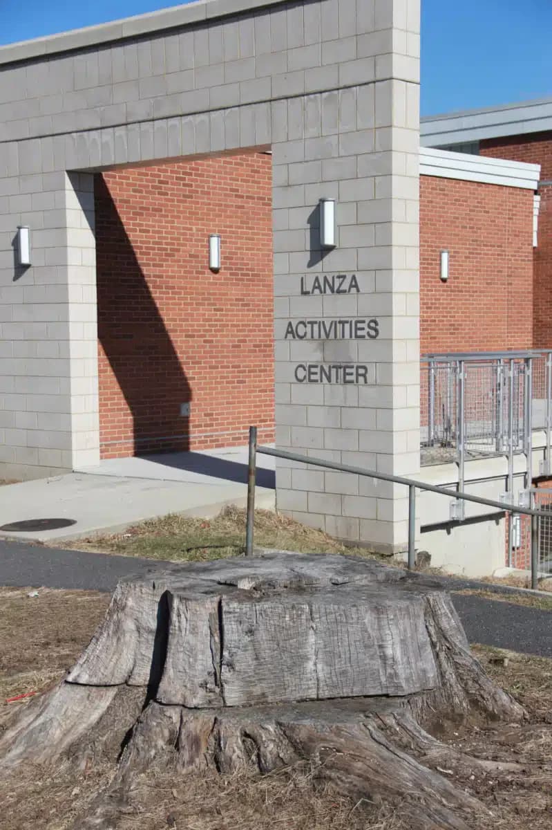 Childrens Village Inc - Thumbnail 10