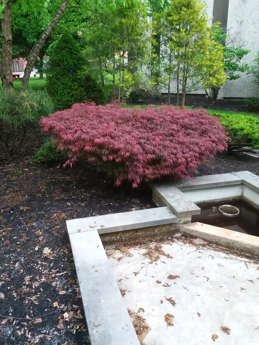 Clifton Springs Hosp Clinic - Thumbnail 4