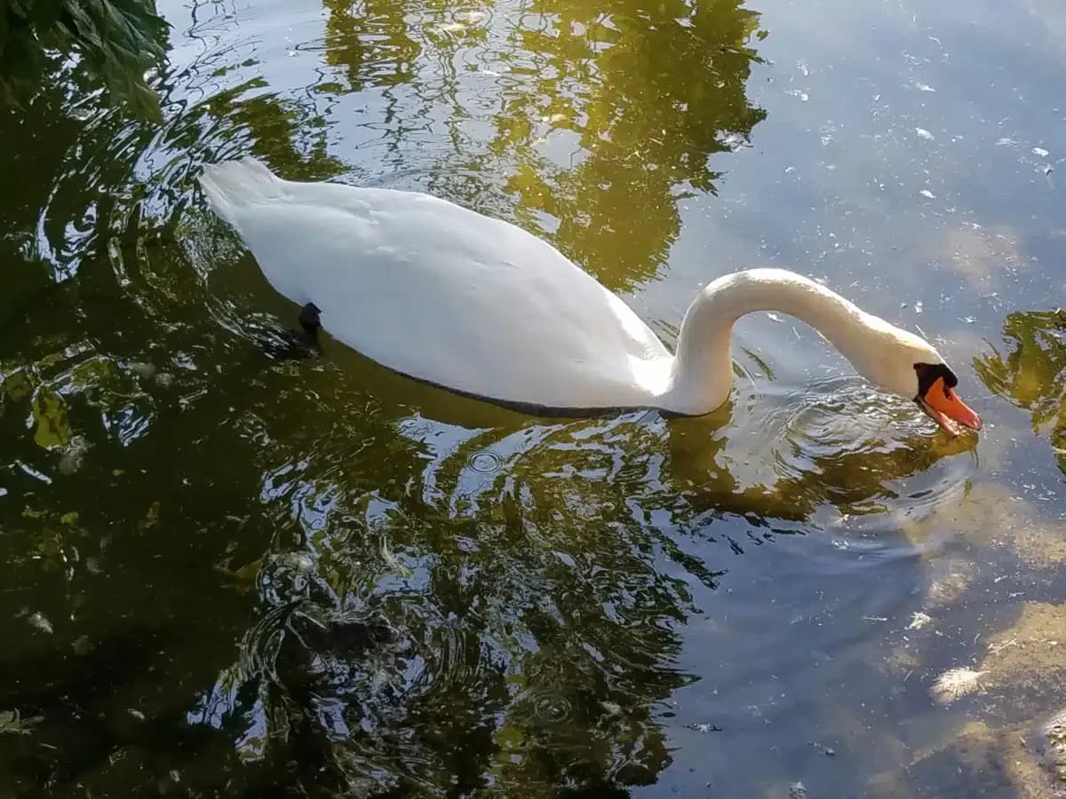 Clifton Springs Hosp Clinic - Thumbnail 6