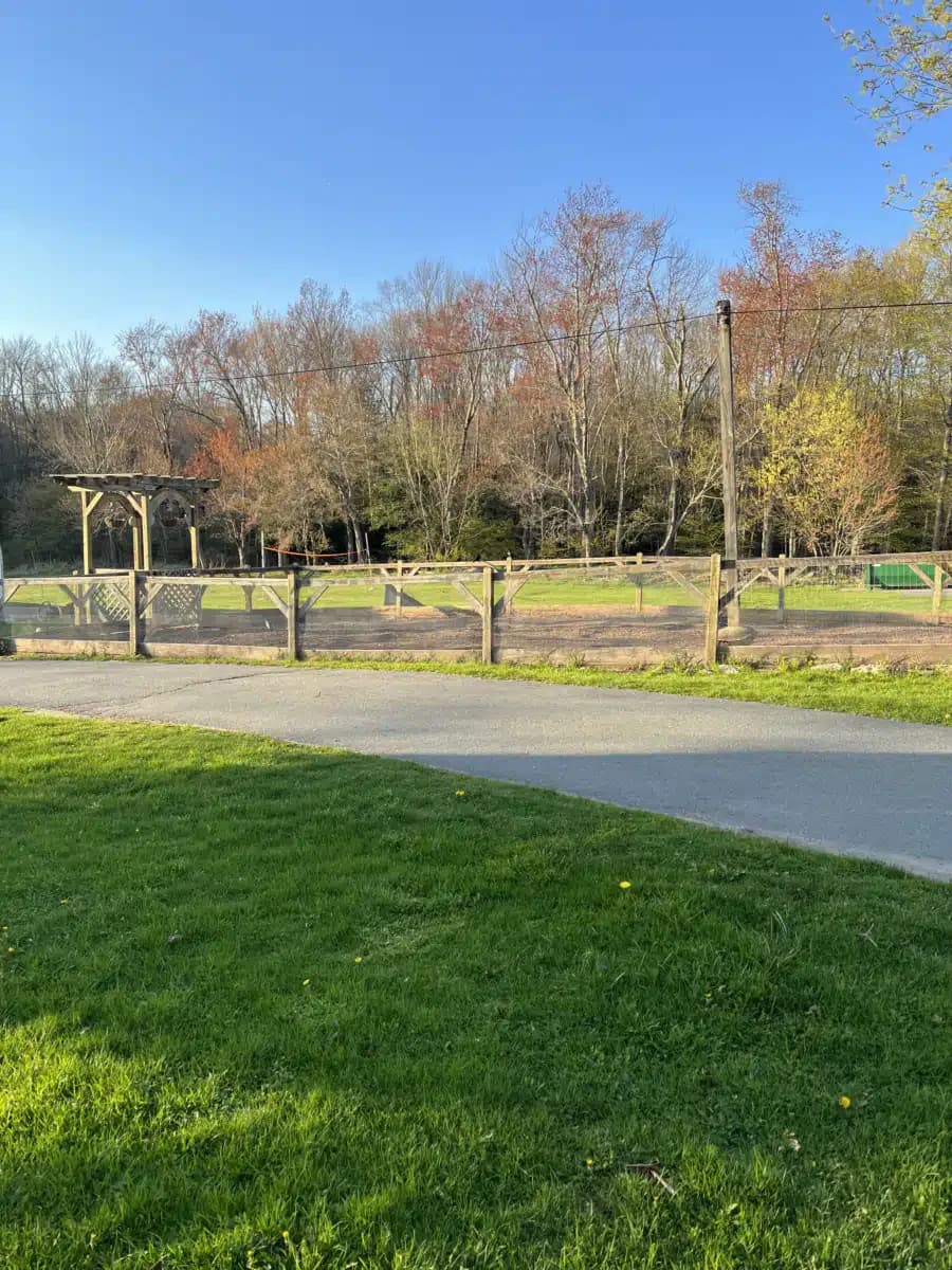 Dynamic Youth Community Inc - Thumbnail 9