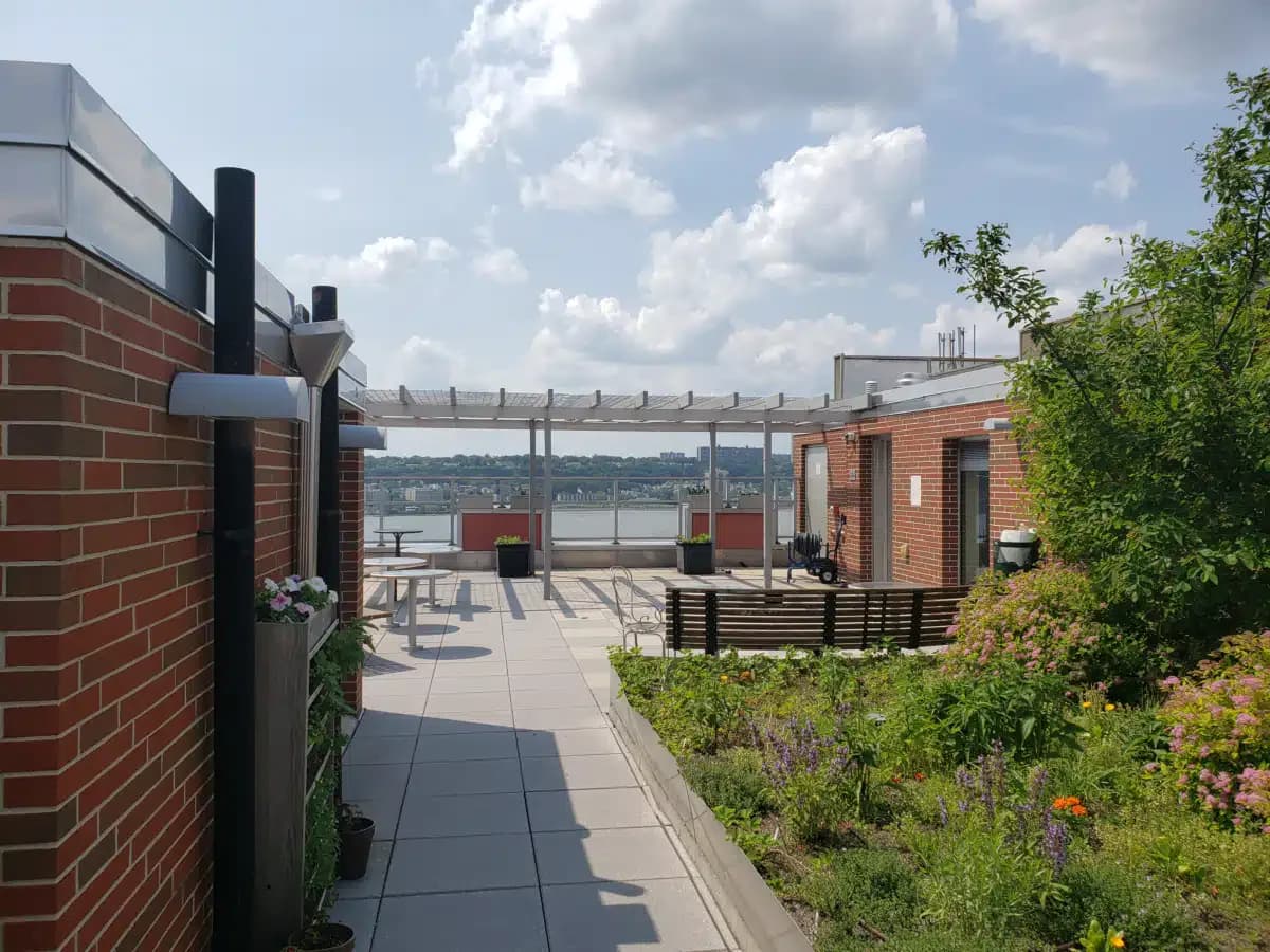 Fortune Society Inc - Thumbnail 6