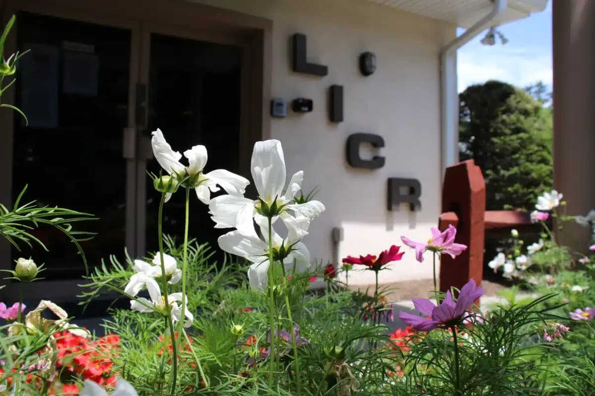 Long Island Center for Recovery Inc - Thumbnail 5