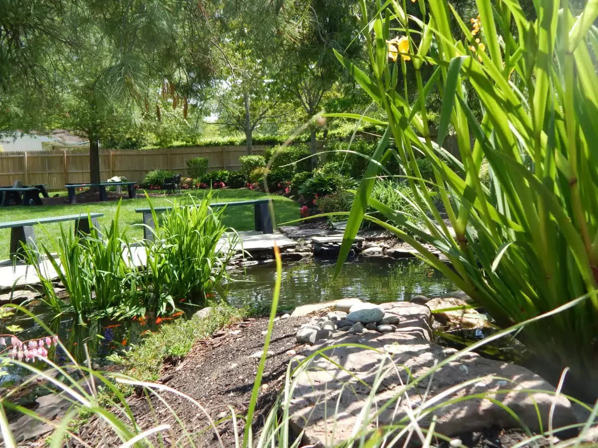 Long Island Center for Recovery Inc - Thumbnail 8