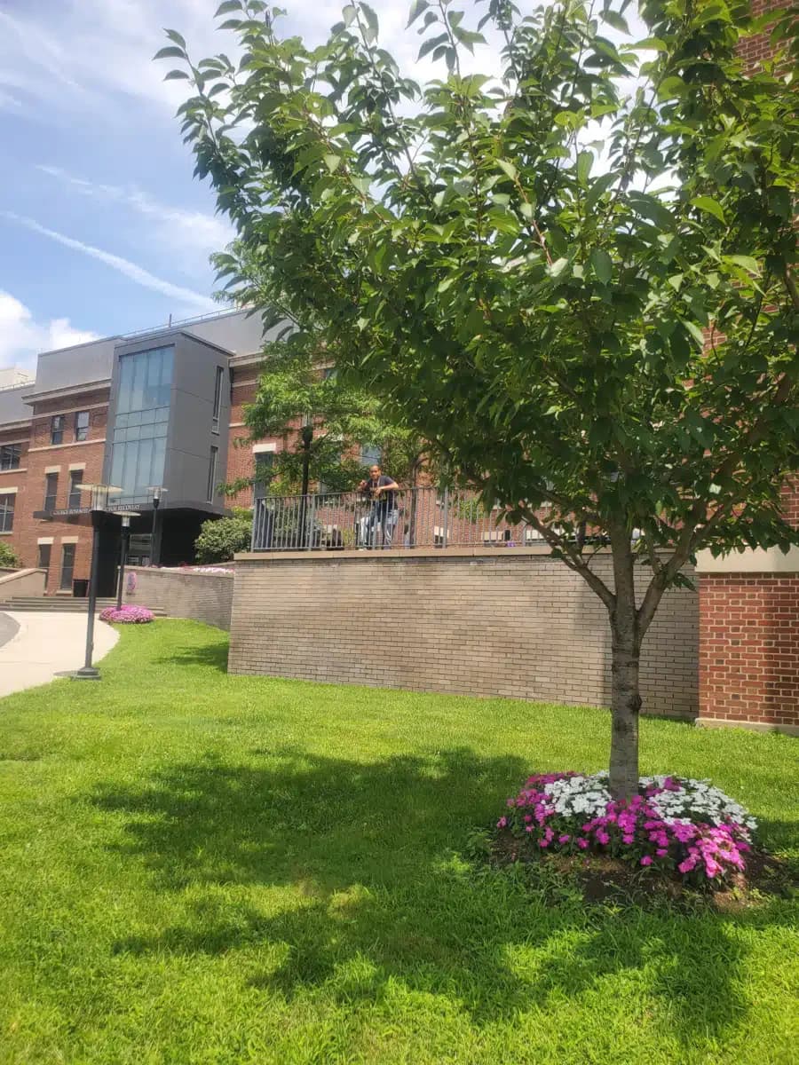 Odyssey Wards Island SRR 1 - Thumbnail 8