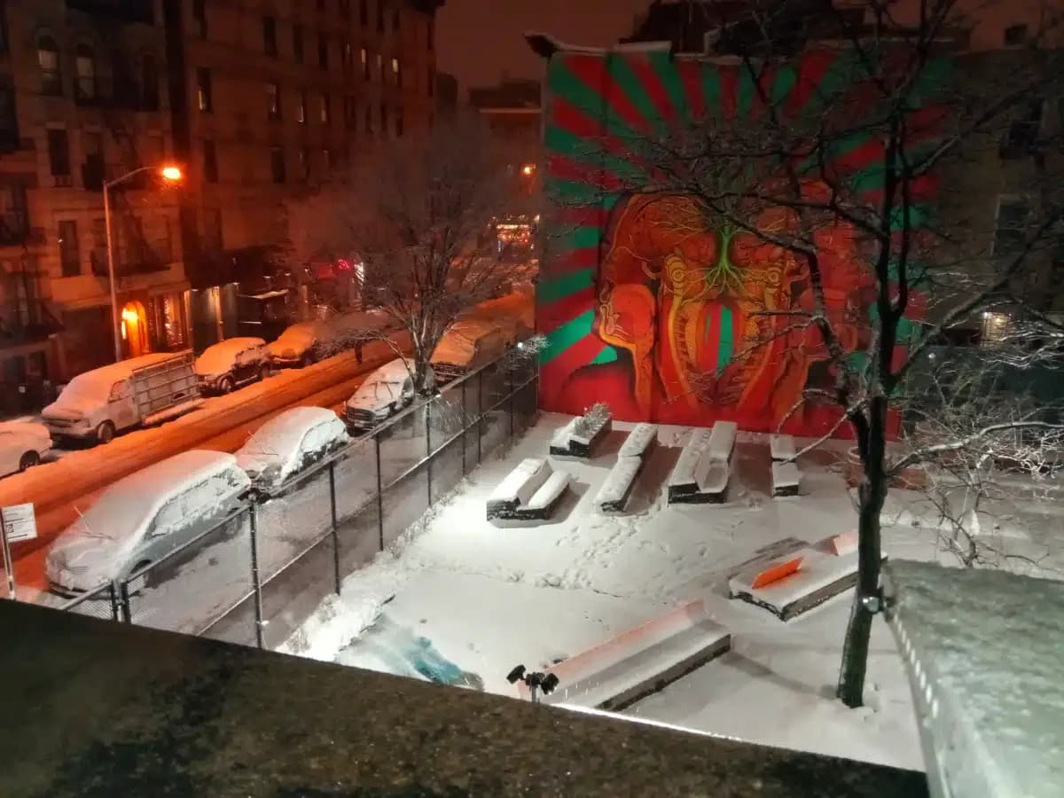 Project Renewal - Thumbnail 6