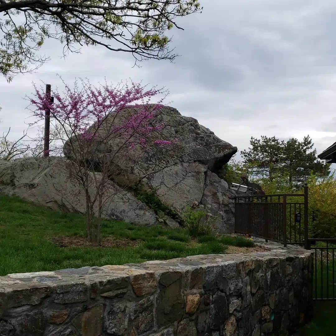 Saint Christophers Inn - Thumbnail 2