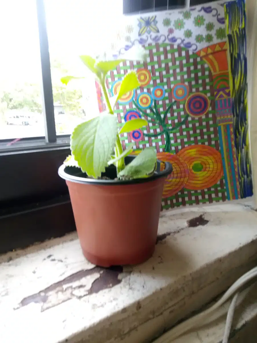 Surfpoint Recovery LLC - Thumbnail 5