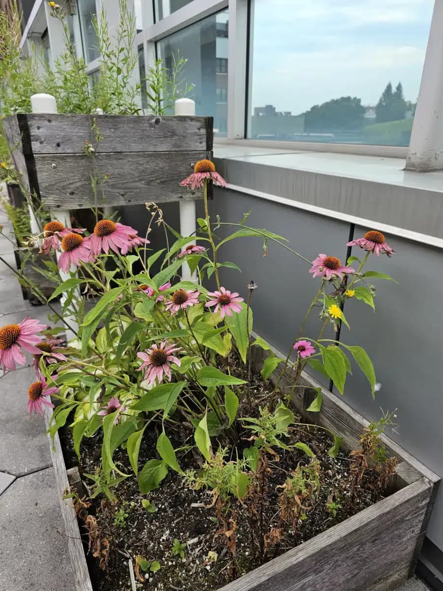 Syracuse VAMC - Thumbnail 10