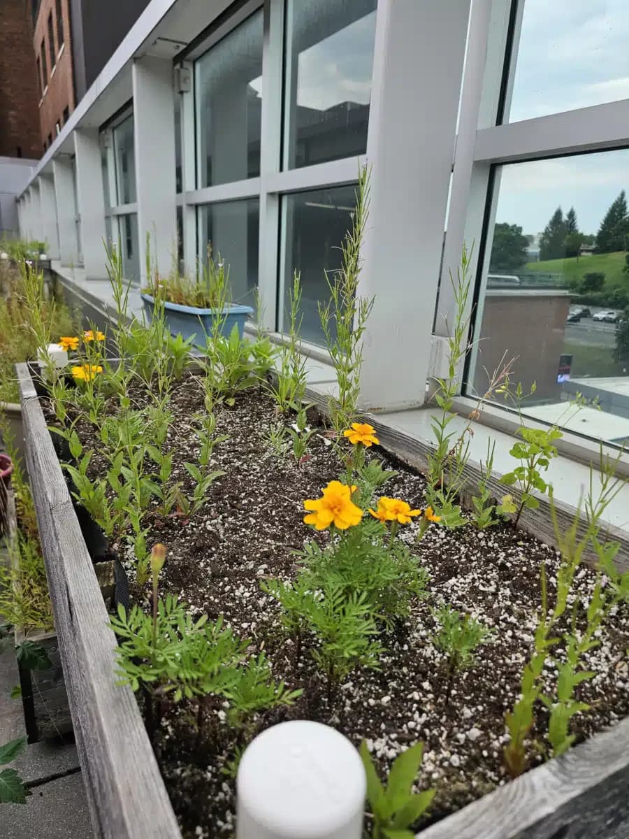 Syracuse VAMC - Thumbnail 7