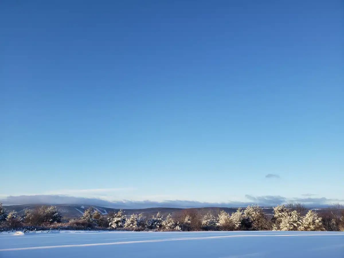 Tully Hill Corporation - Thumbnail 4