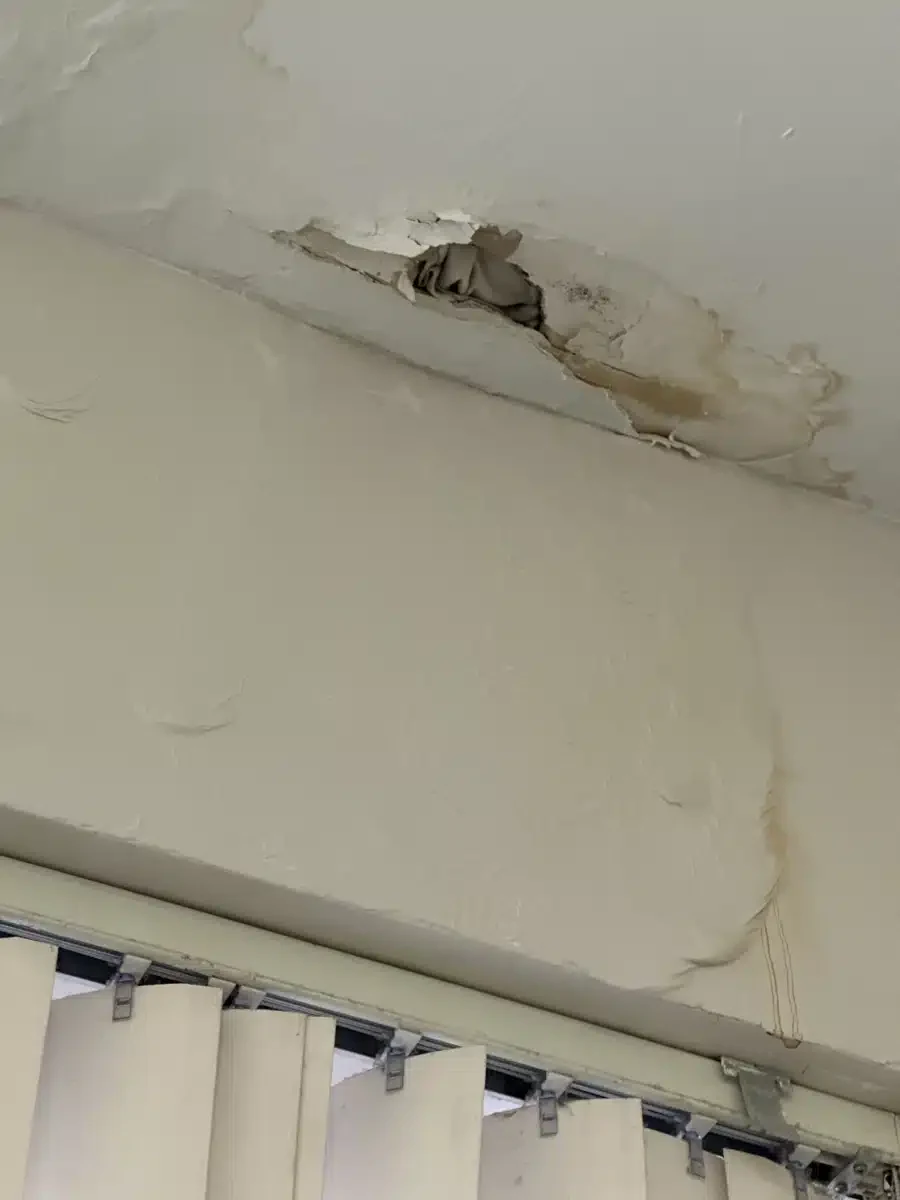 Veritas House - Thumbnail 2