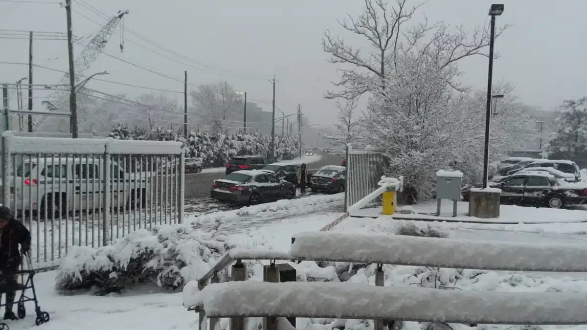 Wellness Center - Next Steps North Outpatient Clinic (Bronx)