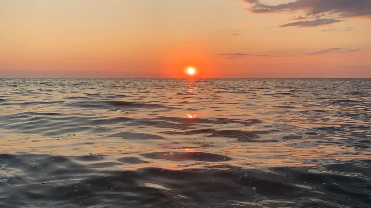 Chautauqua County Department of - Mental Hygiene/CD Services (Jamestown)