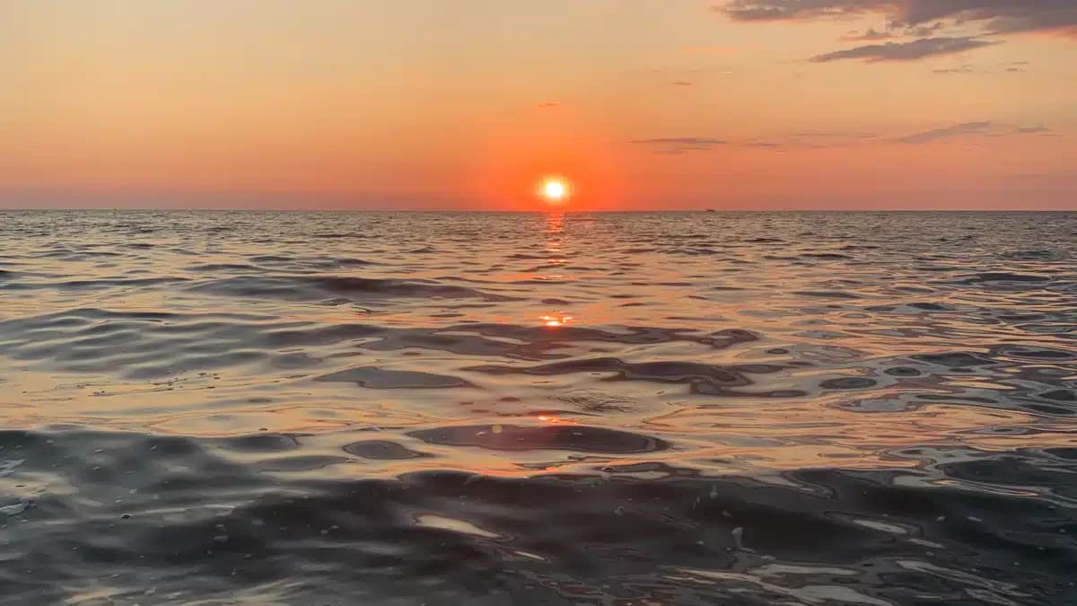 Chautauqua County Dept Mental Hygiene - Dunkirk Mental Health Clinic (Dunkirk)